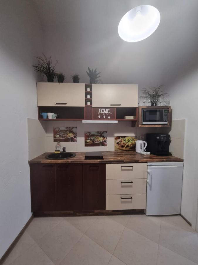 Nemuno Apartamentai Kaunas Bagian luar foto
